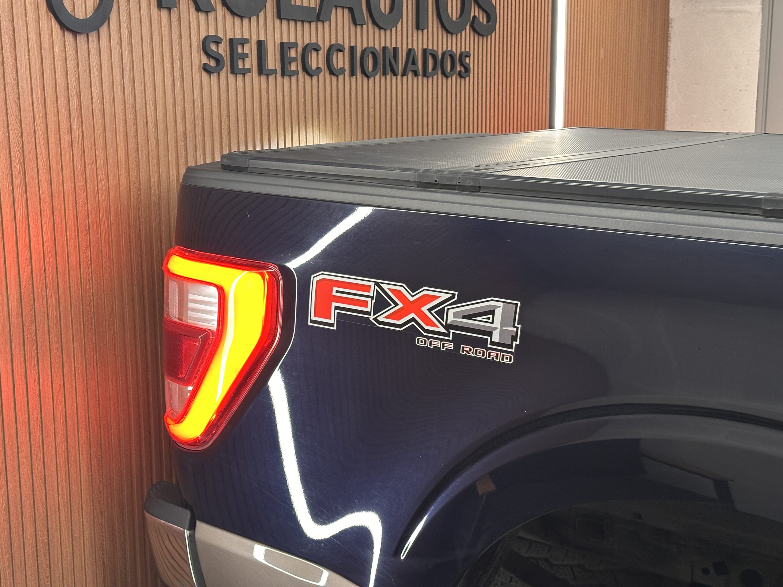 Ford F150 — foto 8 de 20